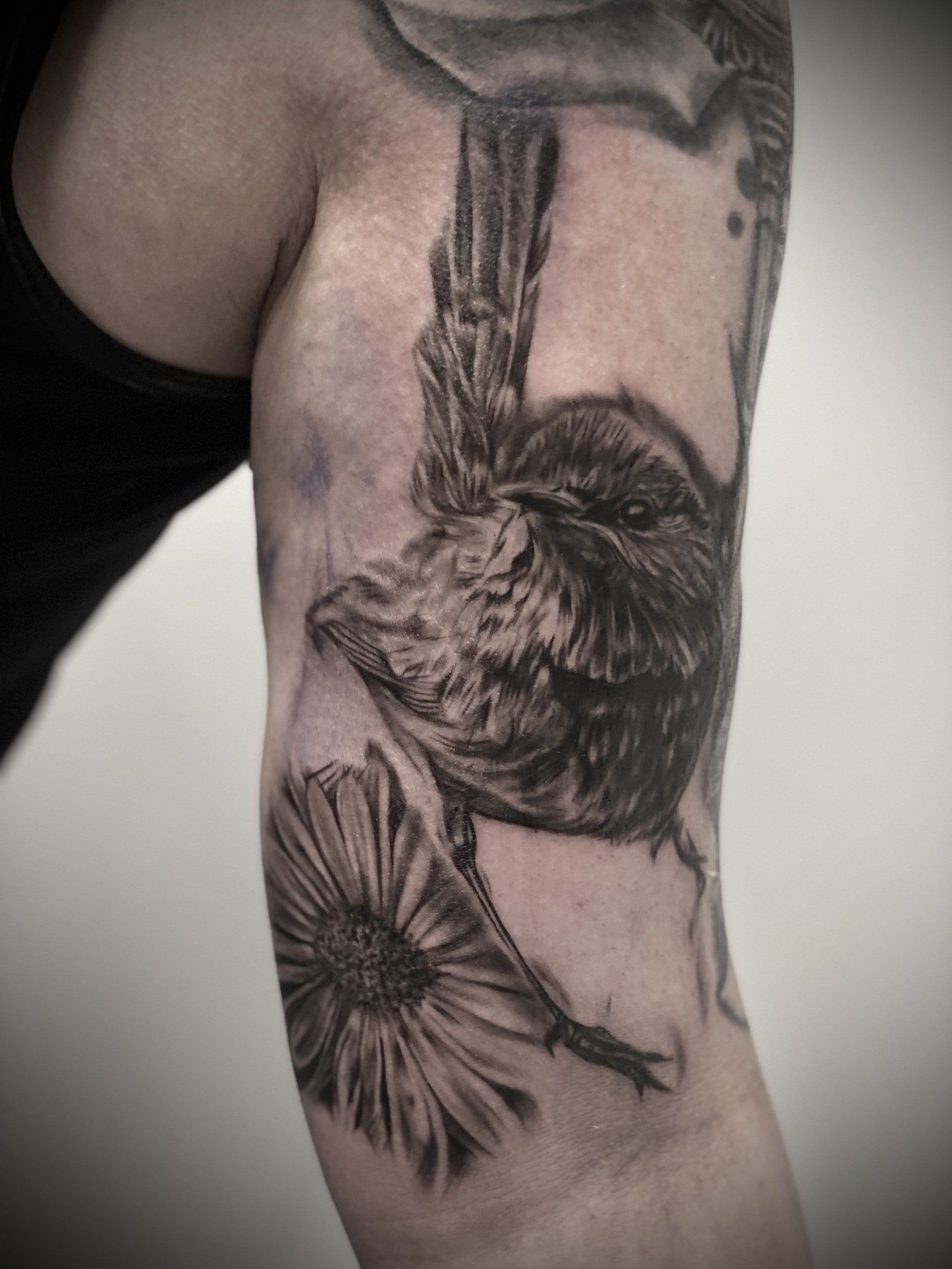 Robin animal tattoo black and grey realism