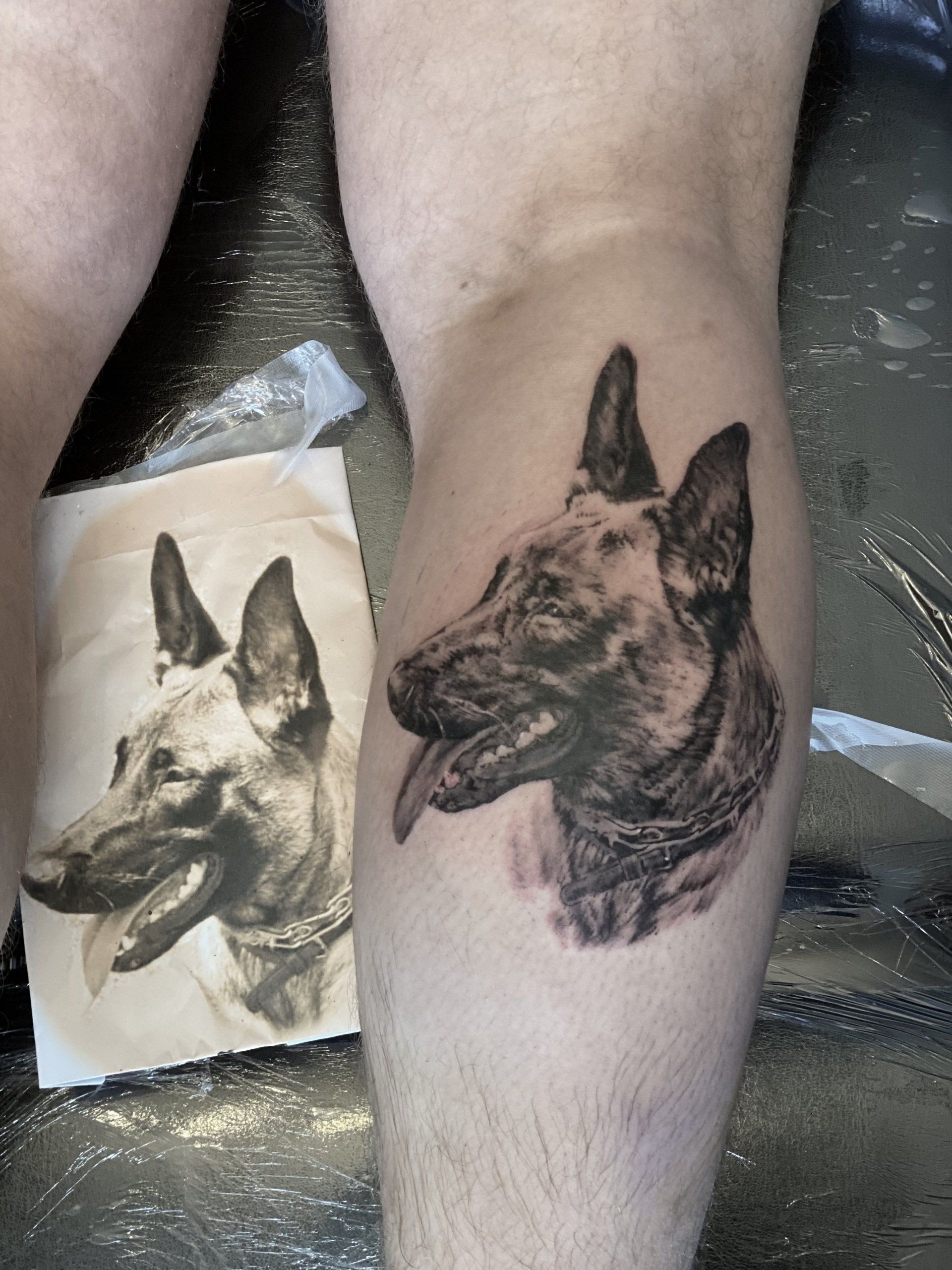 Pet portraiture tattoo Essex