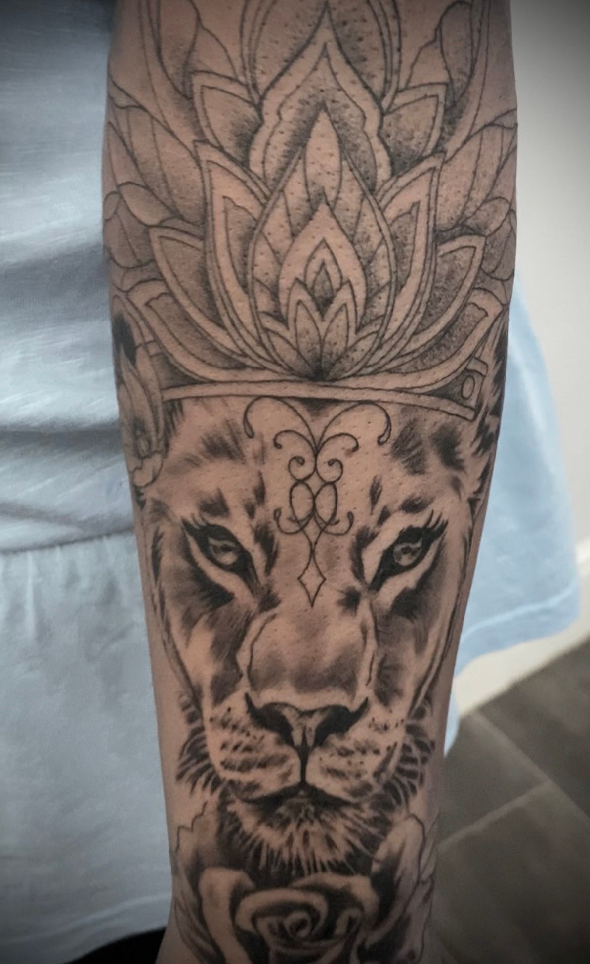 Lioness tattoo mandala