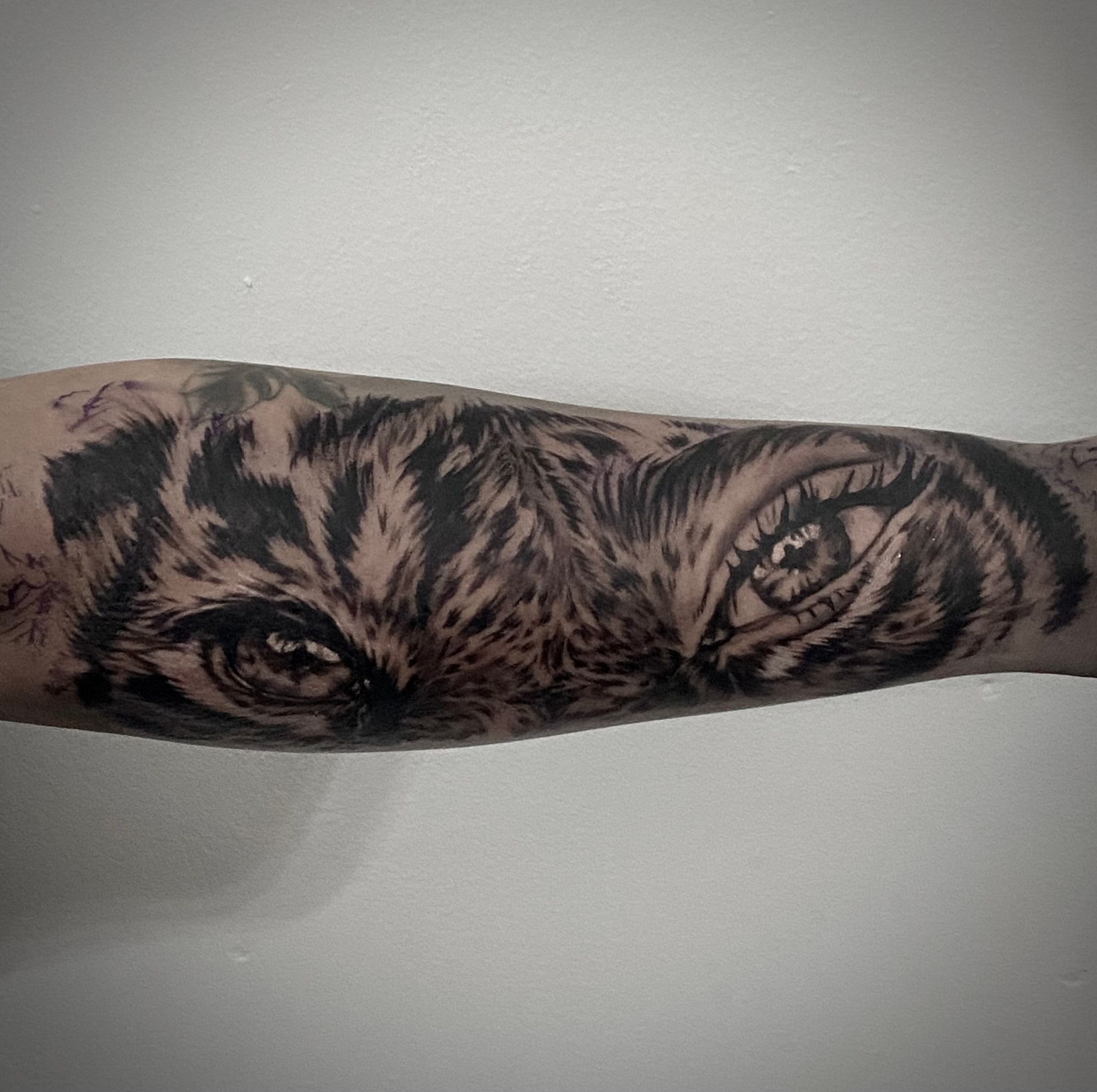 Tiger and girls face black a grey realism tattoo