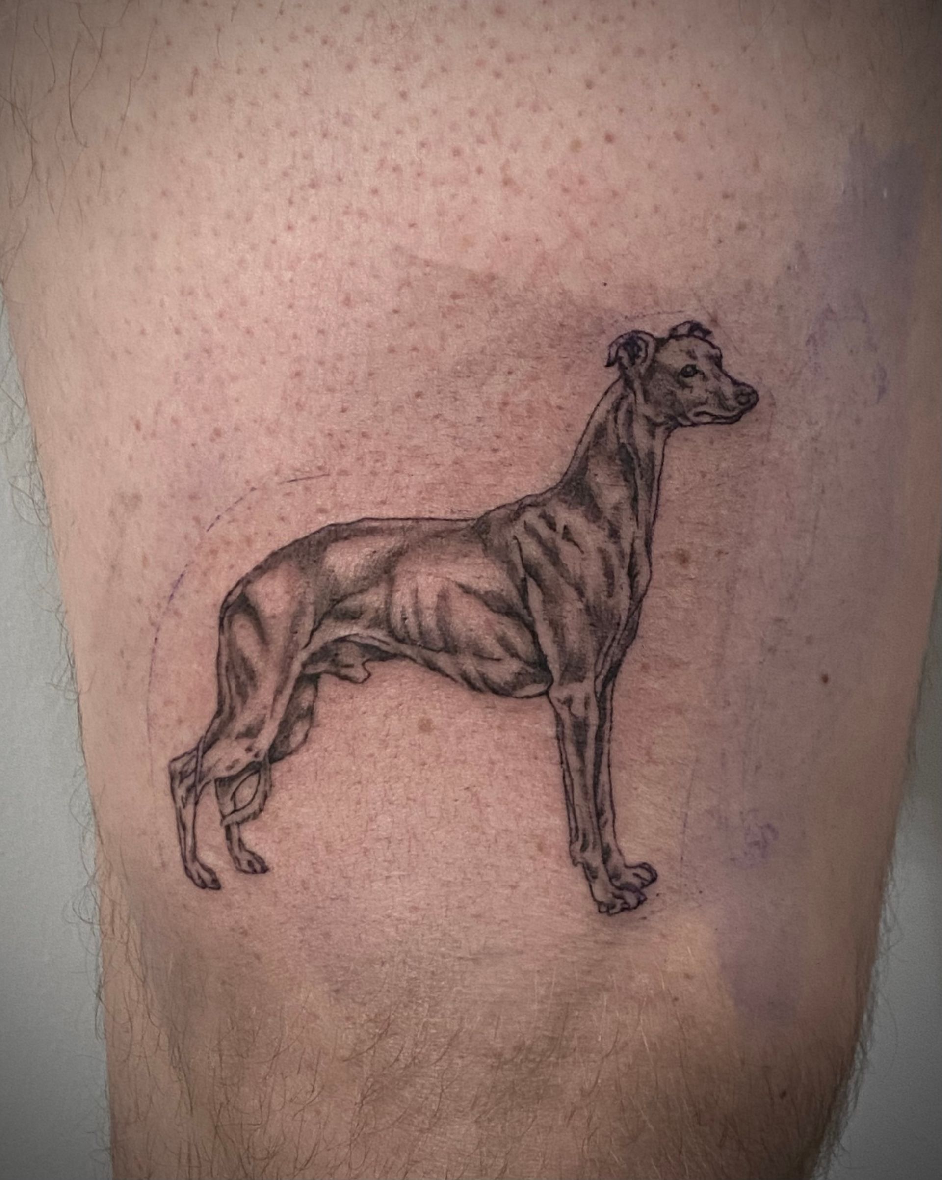 Micro realism tattoo