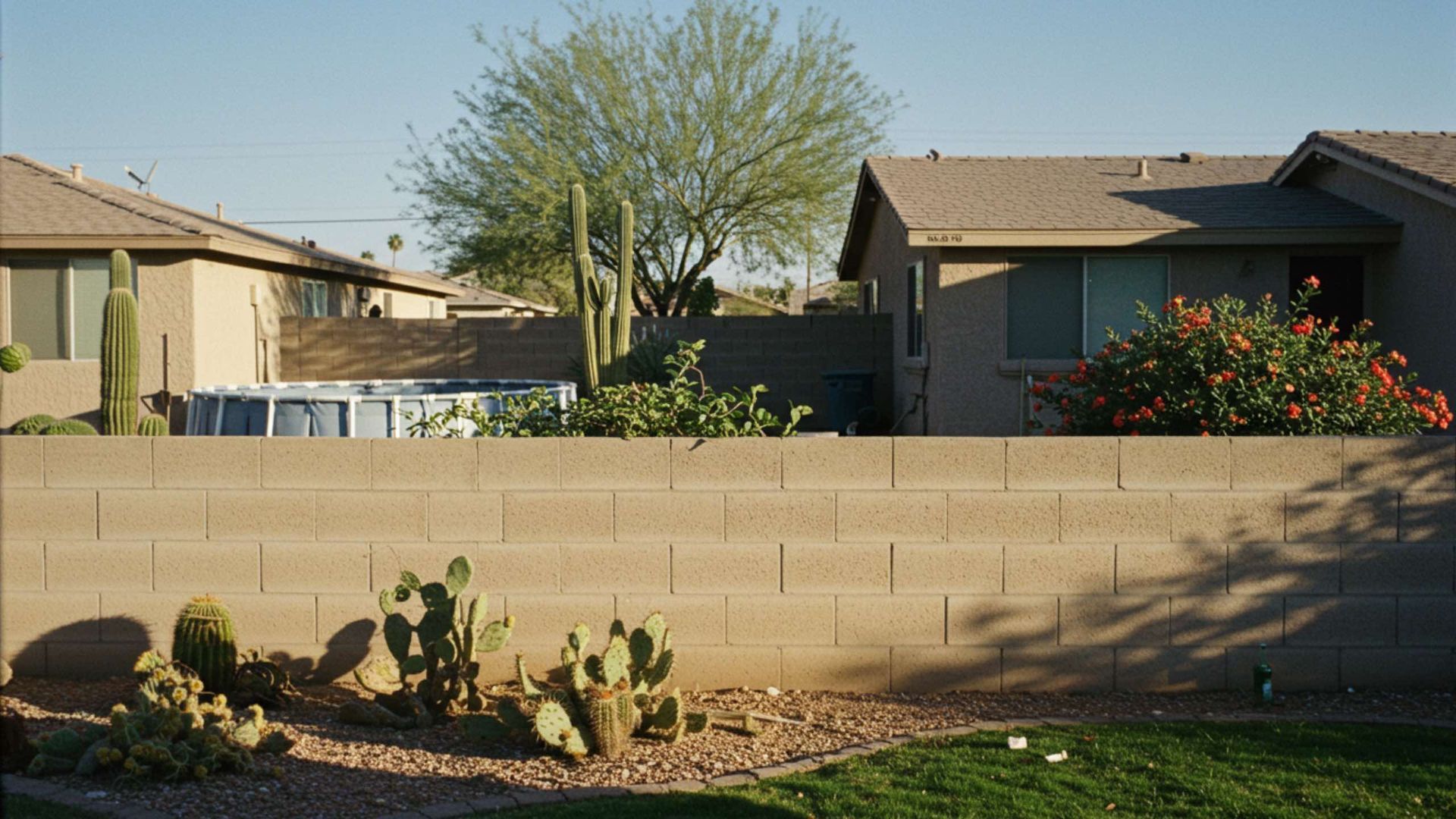 Backyard scene with a brick wall, cacti, houses, and a pool.