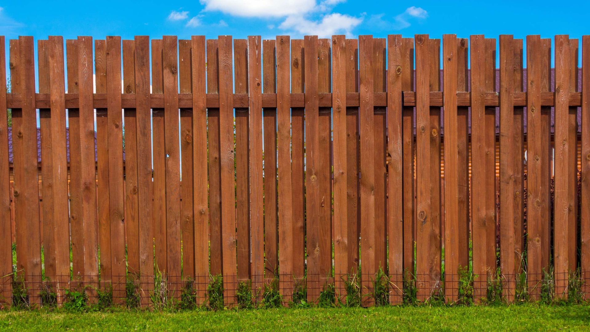 A wooden fence surrounds a lush green field with a blue sky in the background.