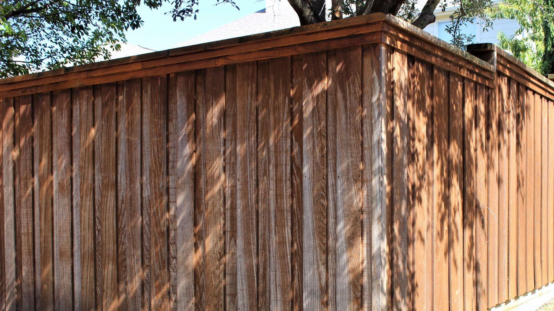 A close up of a wooden fence with a tree in the background.