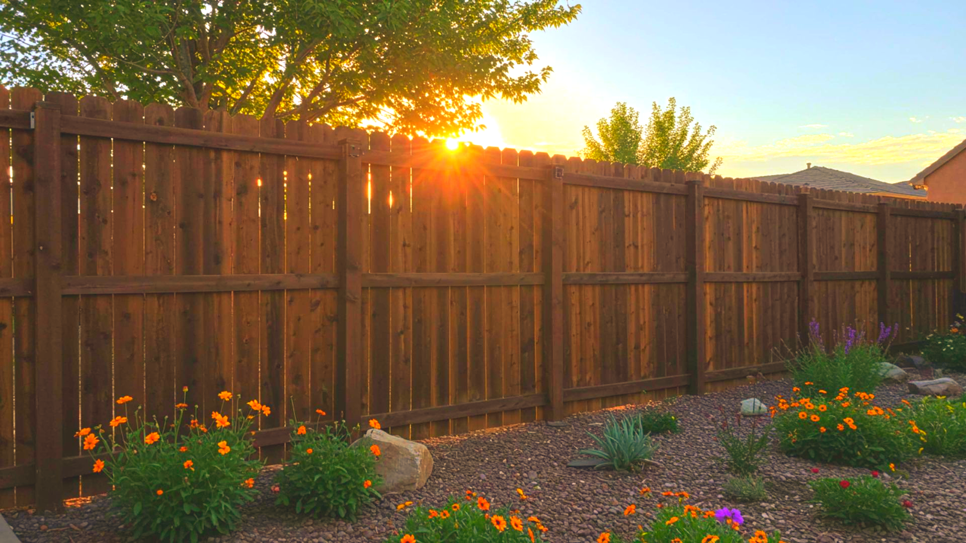 Wooden fence in a yard with flowering plants, the sun shining through trees in the background.