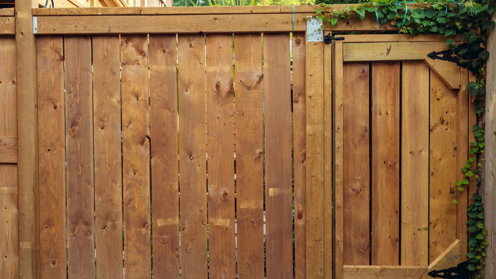 A wooden fence with a gate and ivy growing on it