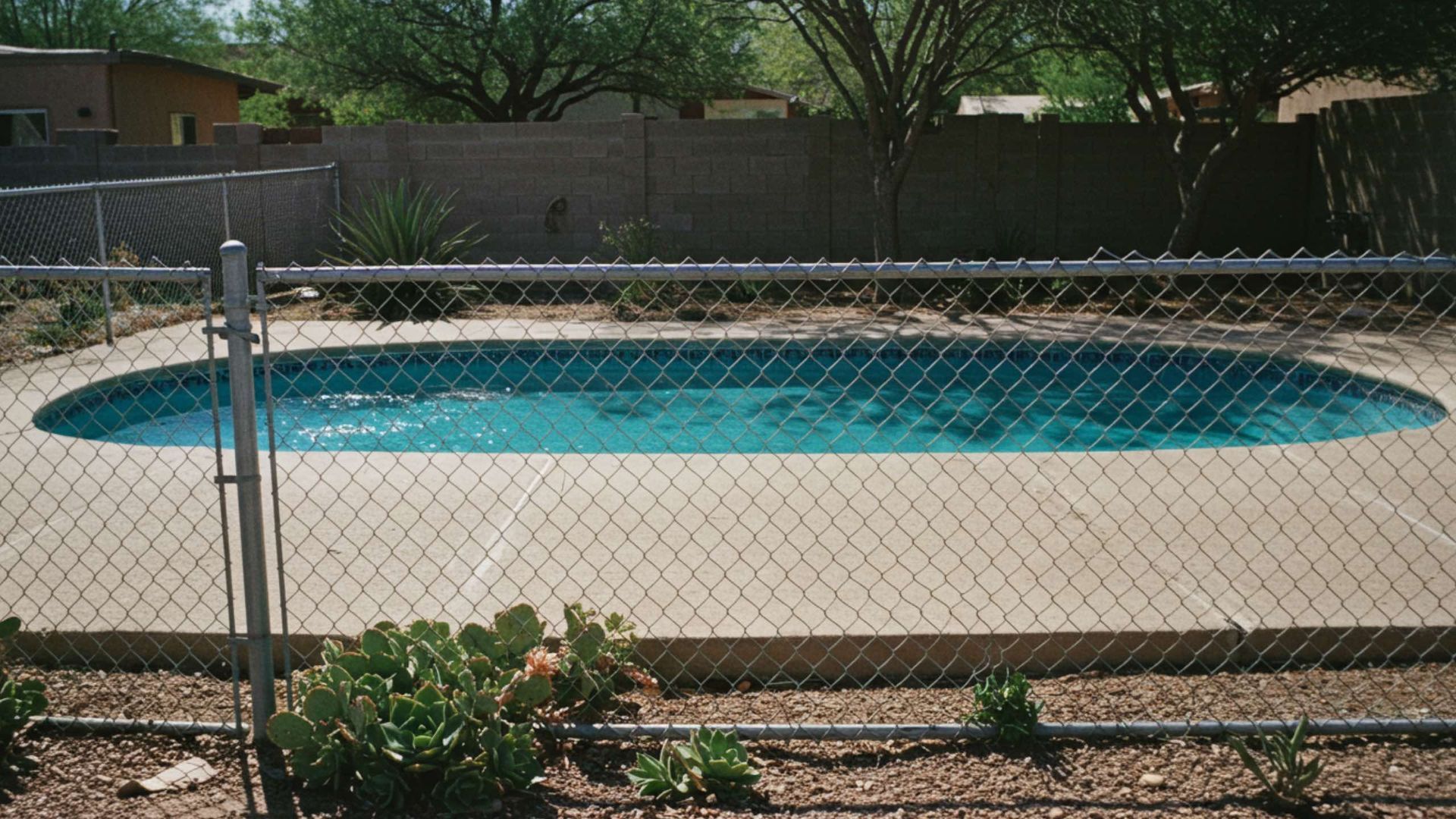 An oval swimming pool with turquoise water and a concrete deck, enclosed by a chain-link fence in a fenced backyard.