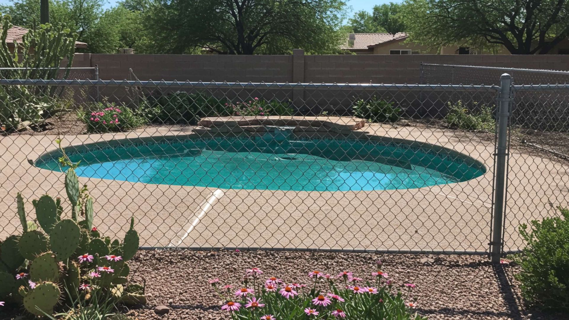 Oval-shaped swimming pool surrounded by a chain-link fence, with plants and a wall in the background.