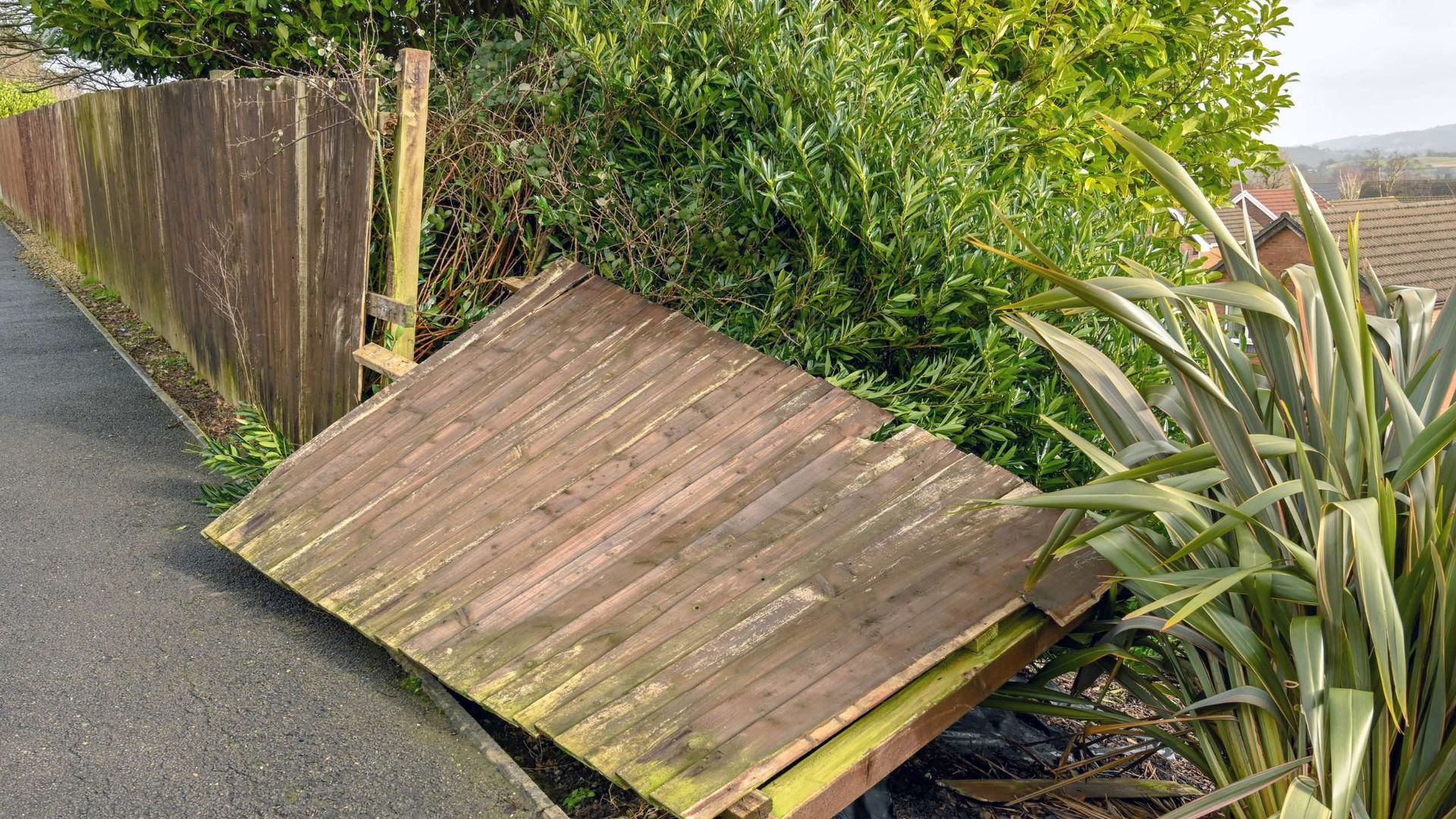 A wooden fence is sitting on the side of a road next to a tree.