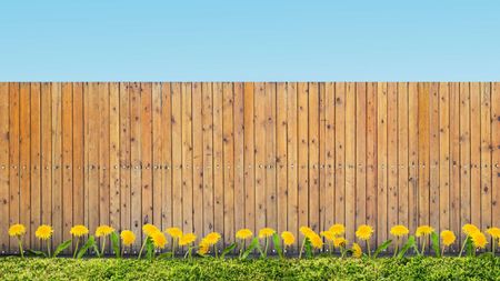 A wooden fence with yellow flowers in front of it.