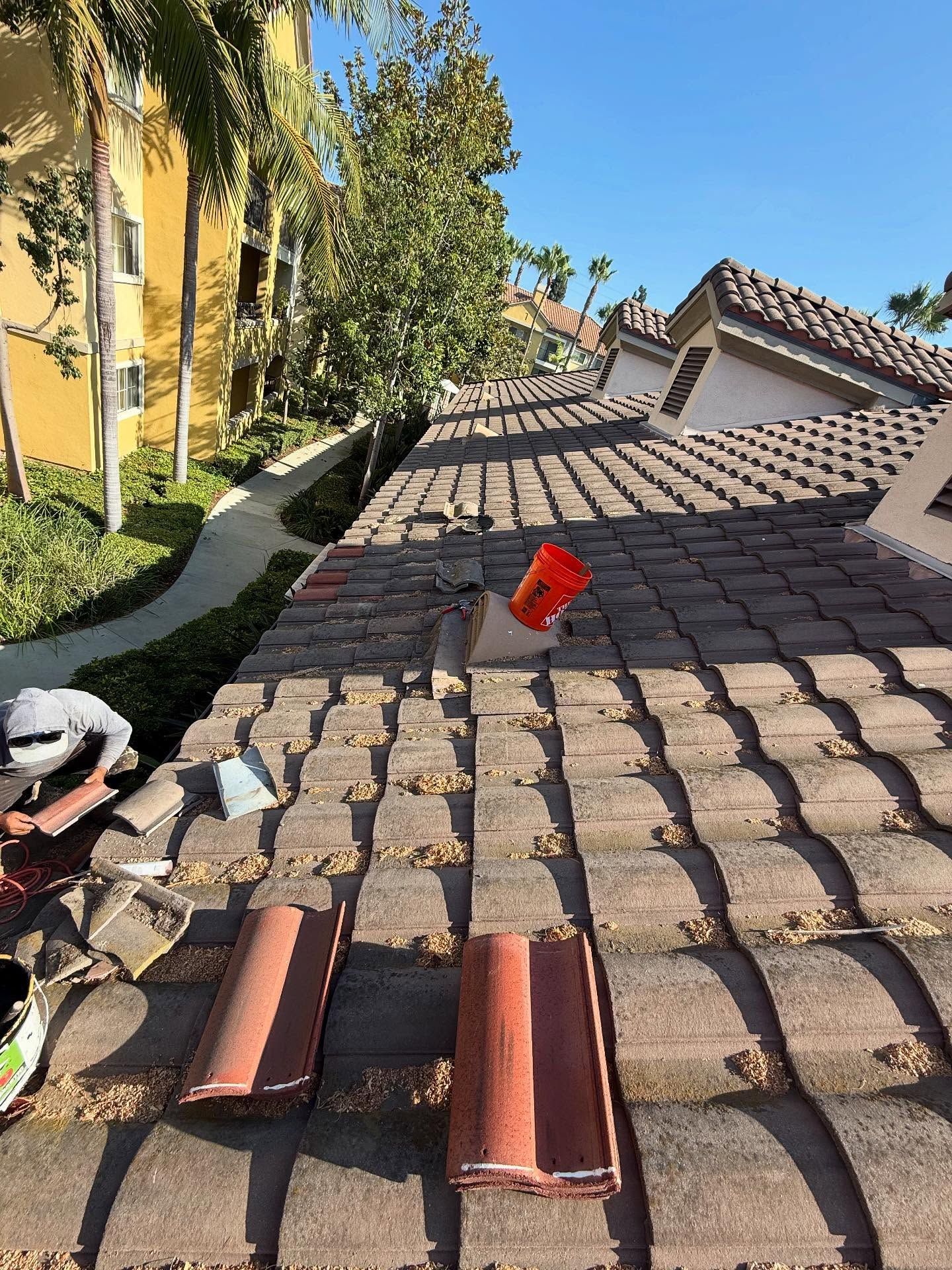 A palm tree has fallen onto the roof of a suburban house on a sunny day.