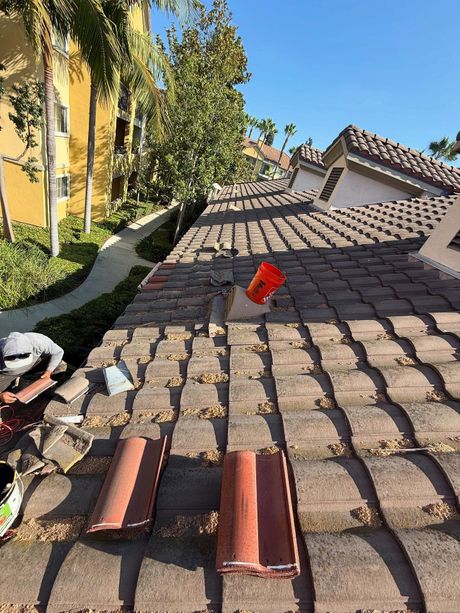 A palm tree has fallen onto the roof of a suburban house on a sunny day.