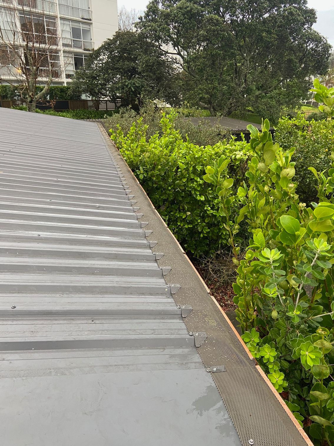 Gray metal roof edge with wooden trim, lush green bushes, and building in background.