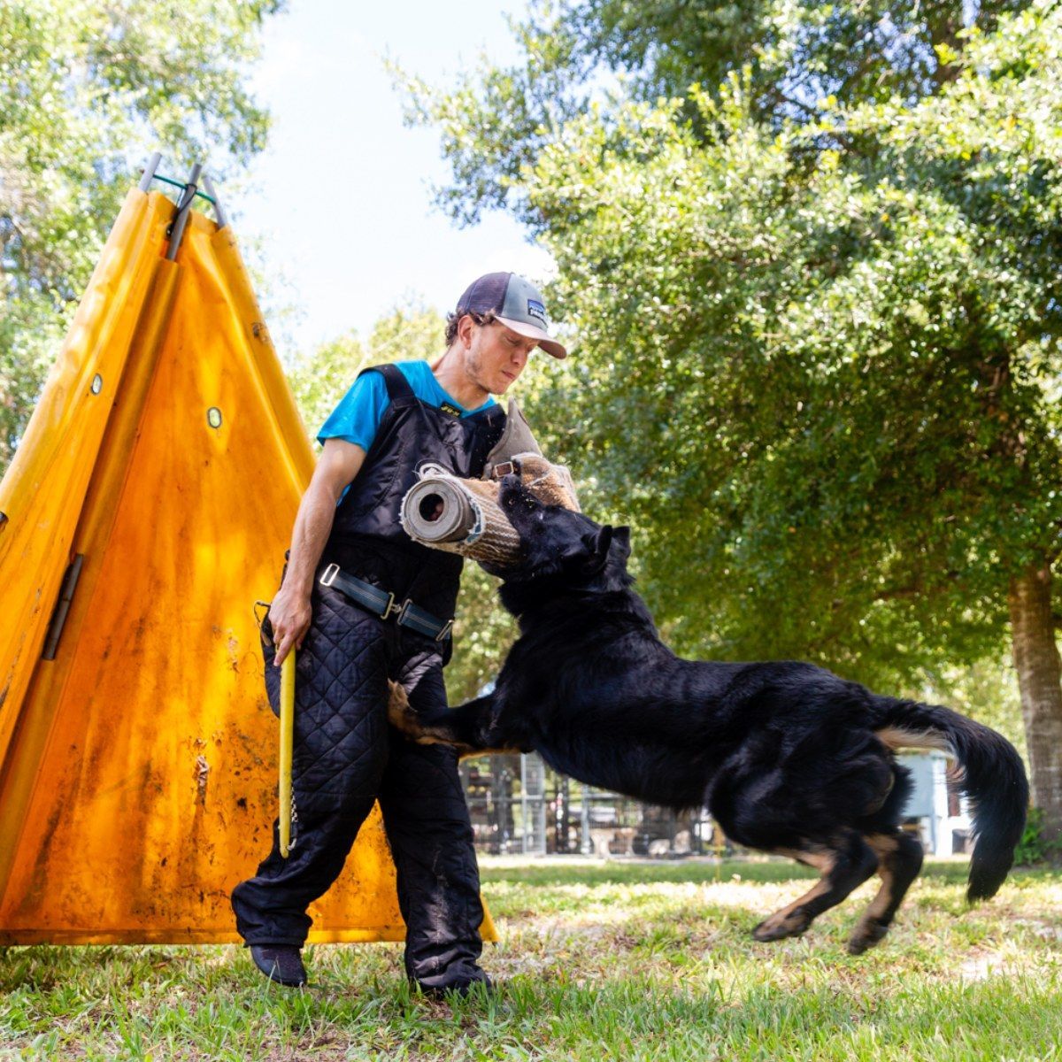 A man is playing with a black dog in front of a yellow tent