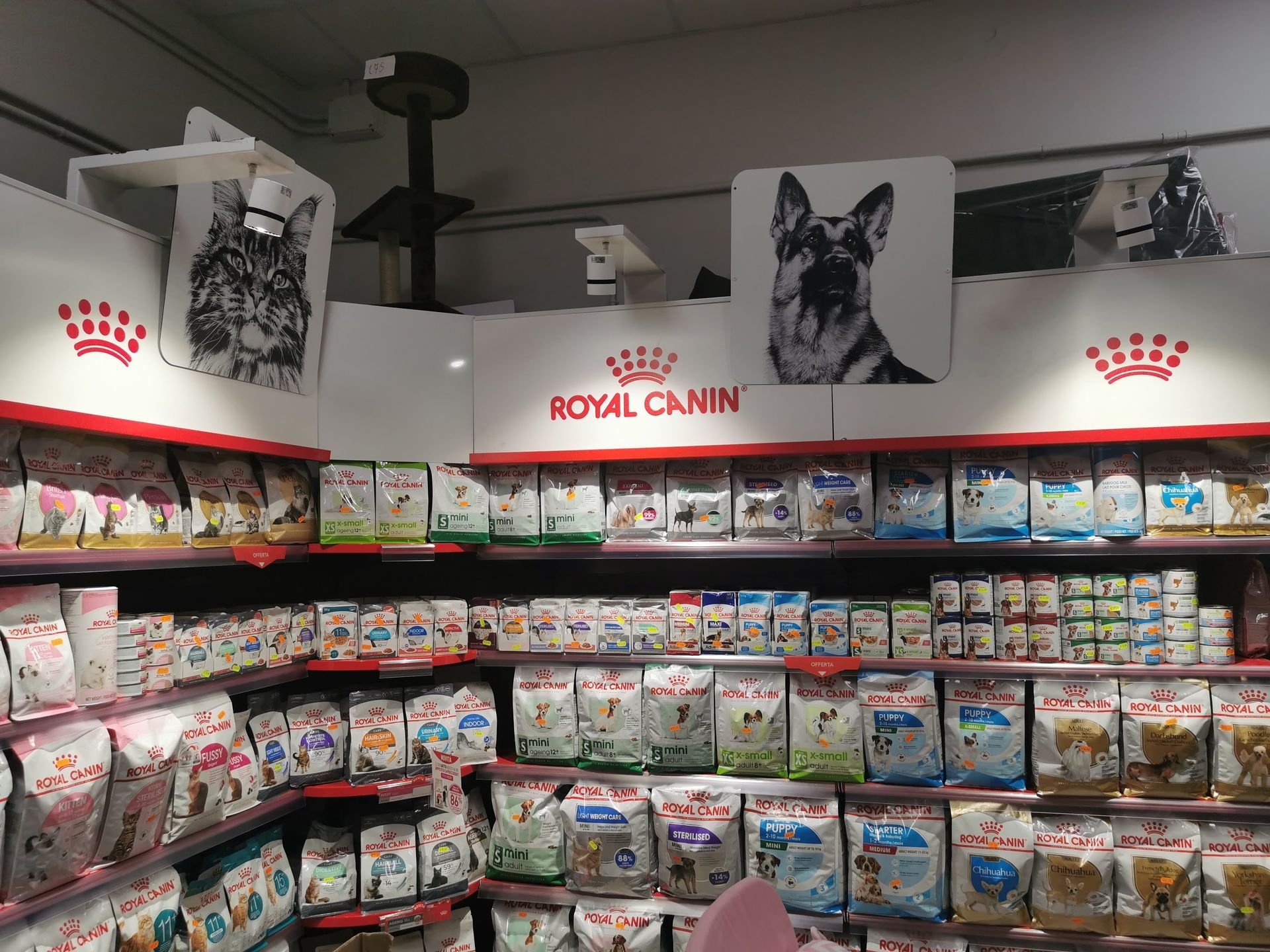 Sugli scaffali dei negozi sono esposti vari sacchi di cibo per animali Royal Canin, contrassegnati da cartelli con l'immagine di un gatto e di un pastore tedesco.