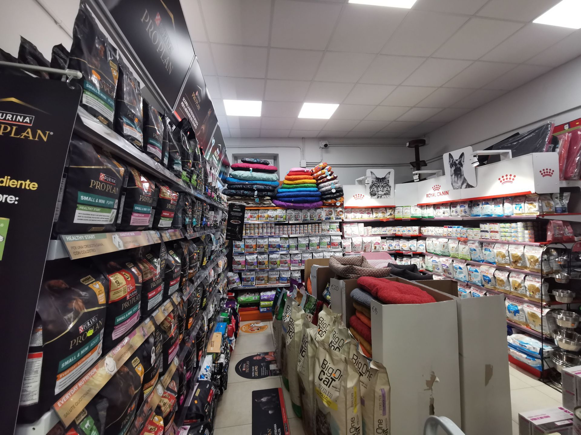 Un corridoio di un negozio di animali, fiancheggiato da scaffali pieni di sacchi di cibo per animali, cucce e accessori vari, illuminati da luci intense sul soffitto.