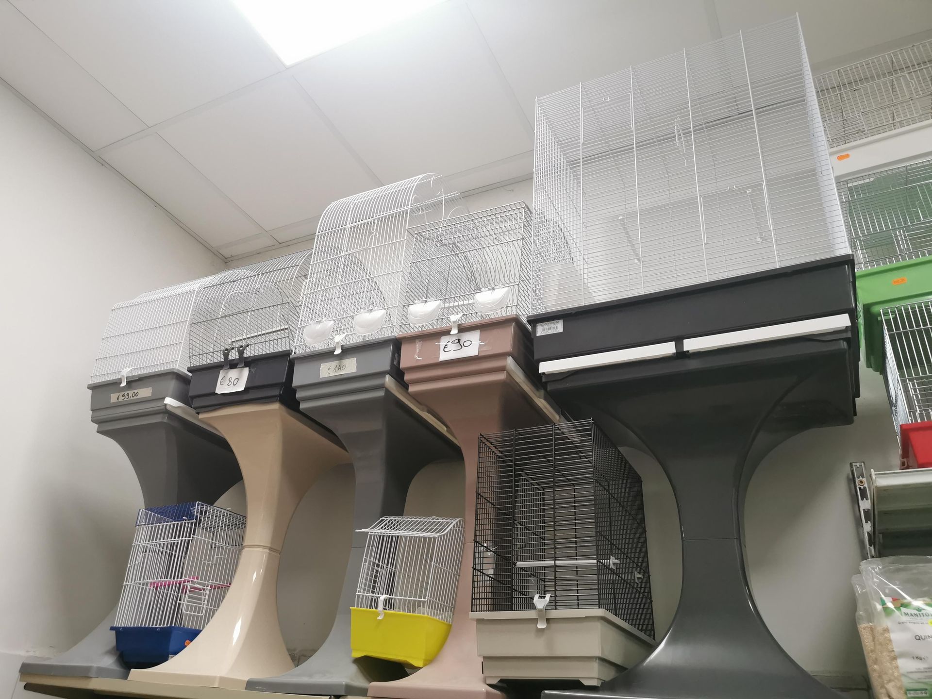 Una vetrina di un negozio mostra diverse gabbie per uccelli con la parte superiore in filo metallico bianco e la base colorata, posizionate su alti supporti affusolati.