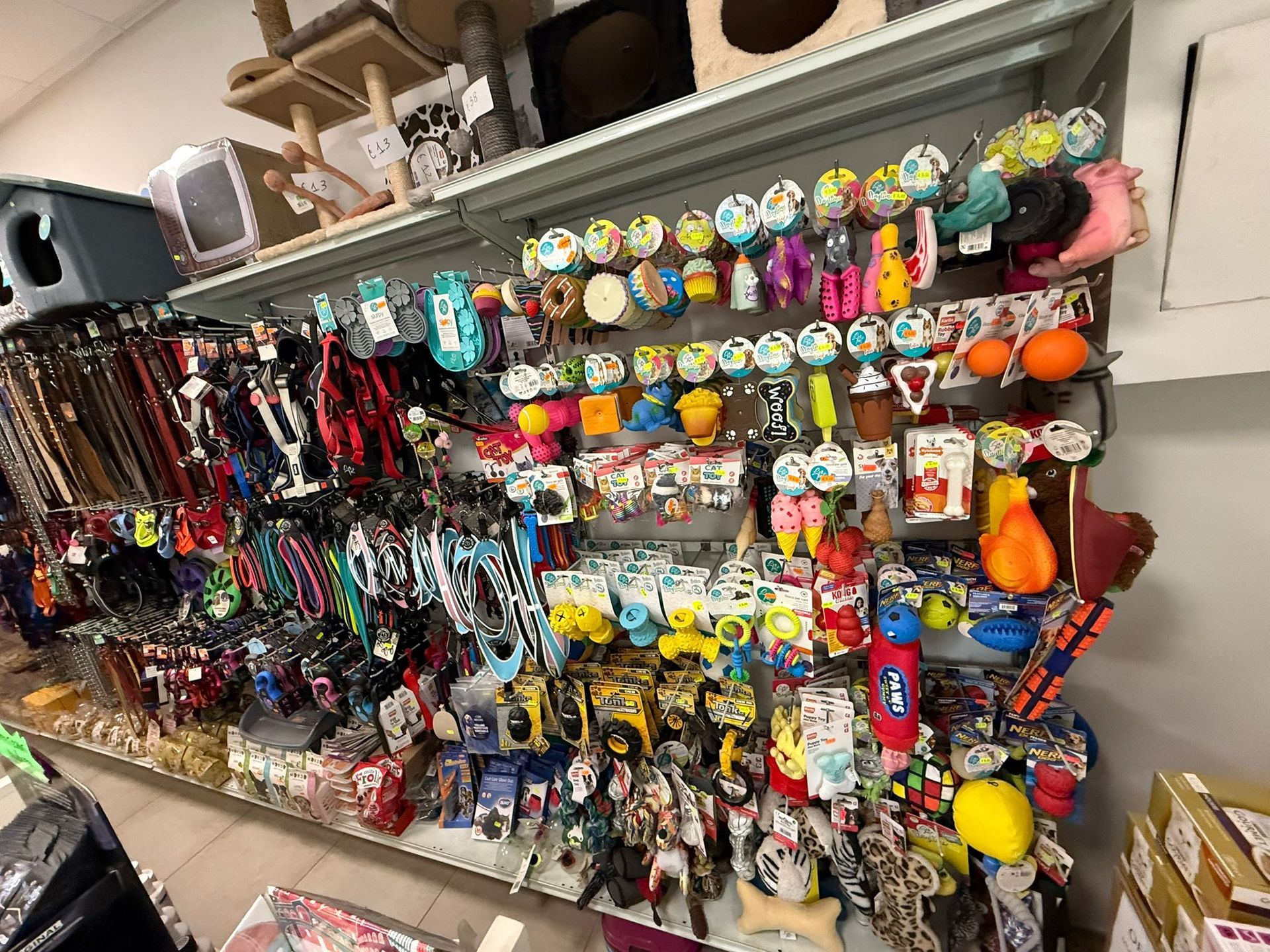 Scaffale del negozio rifornito con vari giocattoli colorati per cani, guinzagli e accessori per animali domestici.