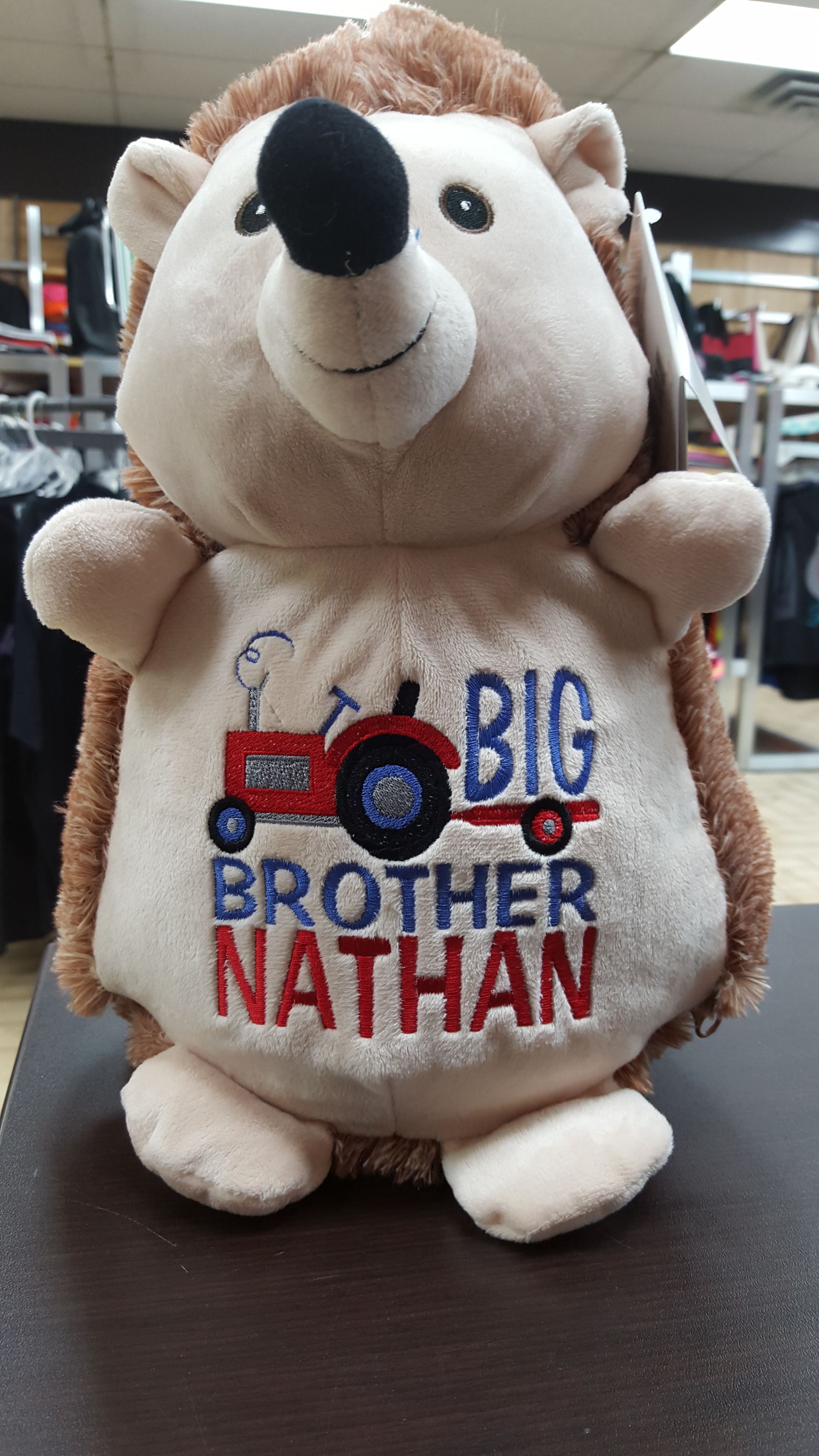 Plush hedgehog toy with 