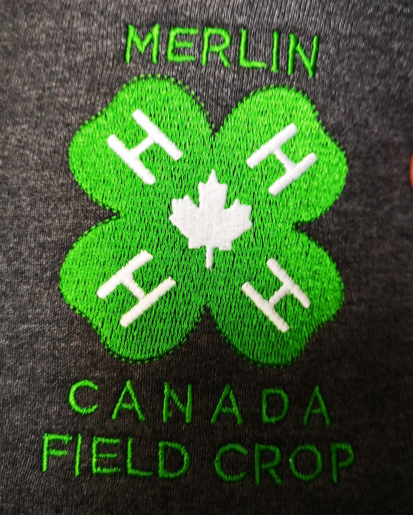 Embroidered green 4-leaf clover with 