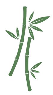 bambus illustration