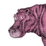 Ilustradora Nia Gould
