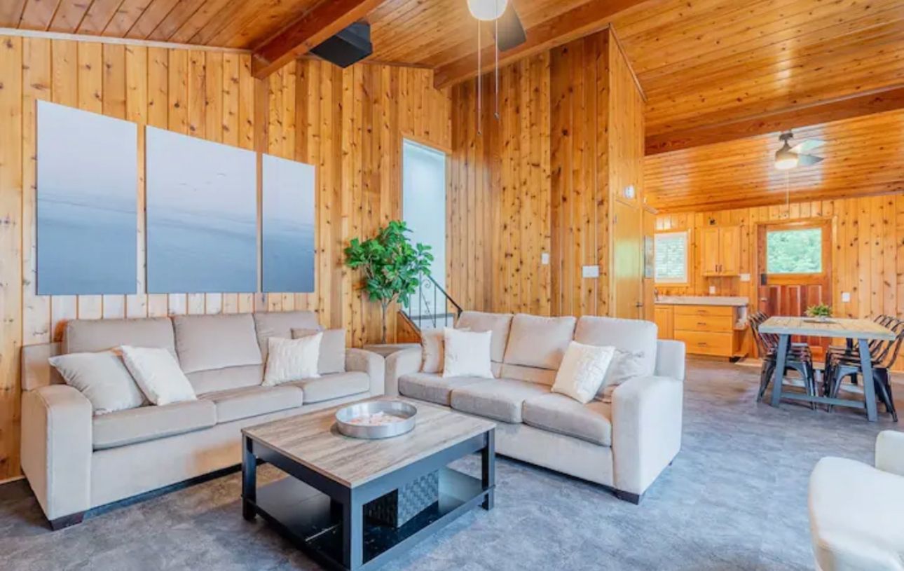 A living room with two couches and a coffee table.