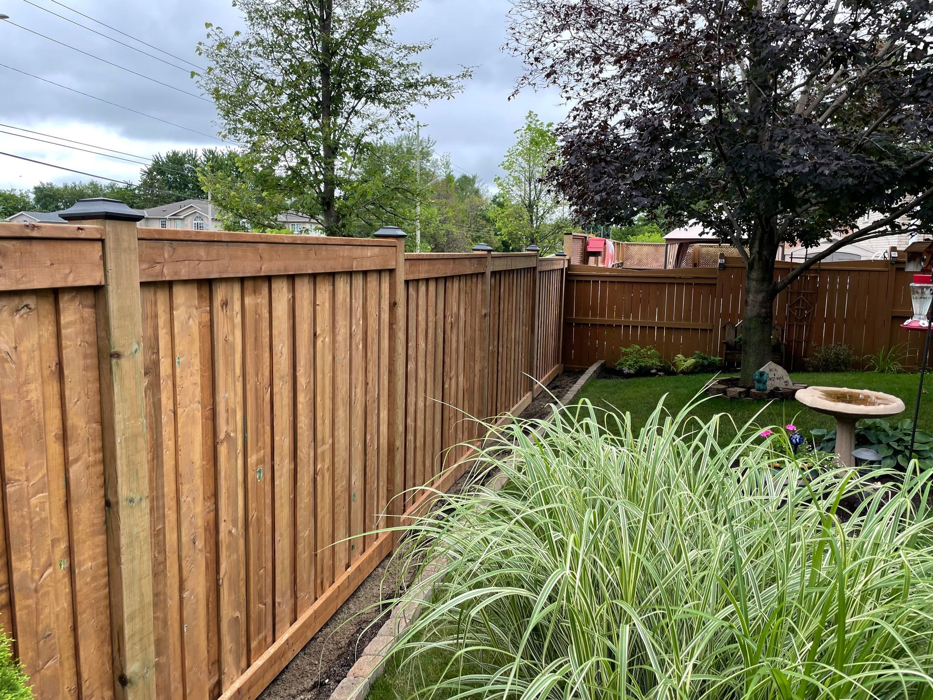A wooden fence is surrounded by tall grass in a backyard.