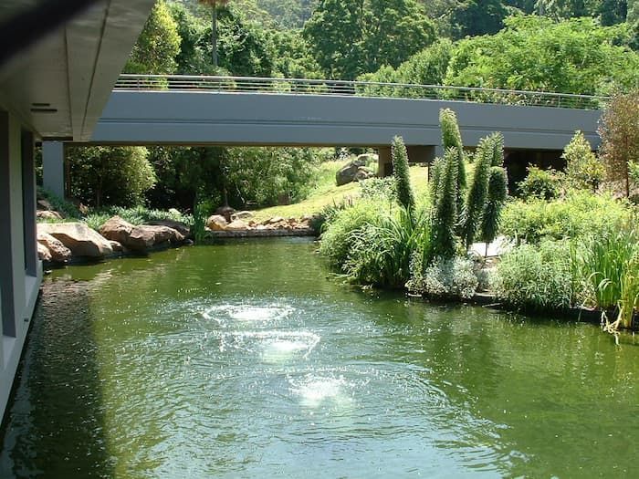 Bridge Over A River Next To A Lush Green Forest - Previous Projects in South Nowra, NSW