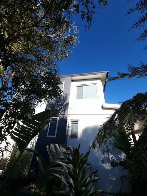 Plants In Backyard - Previous Projects in South Nowra, NSW