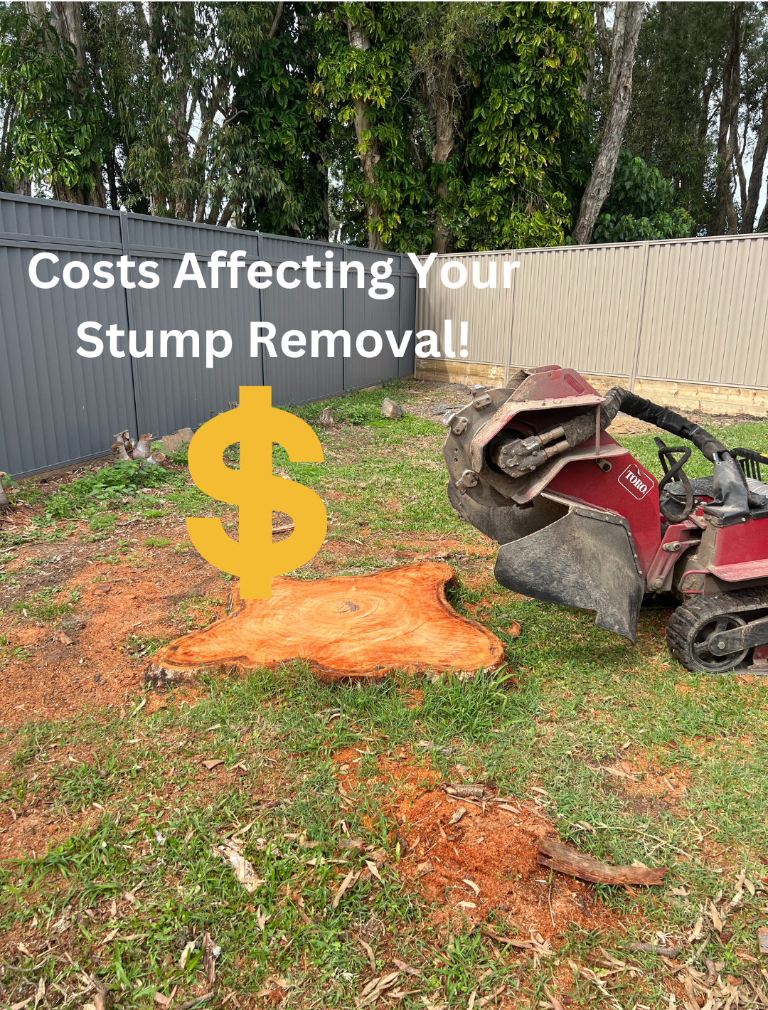 Stump removal gold coast