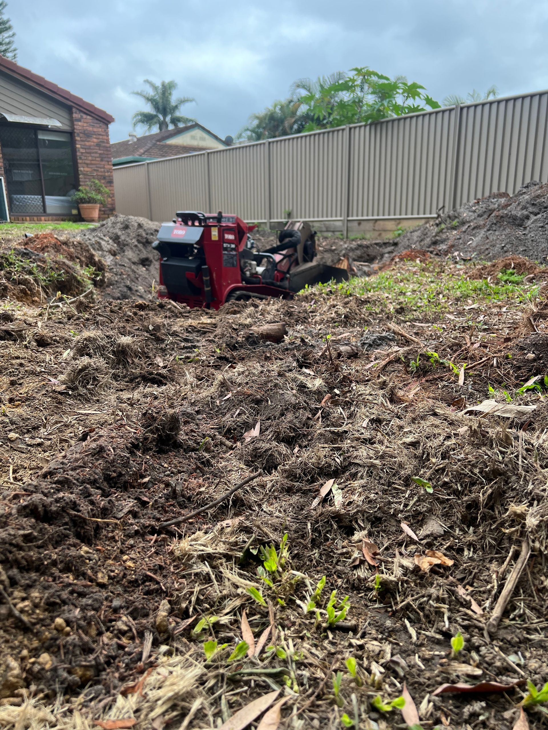 The large Iron Bark stump was removed.
