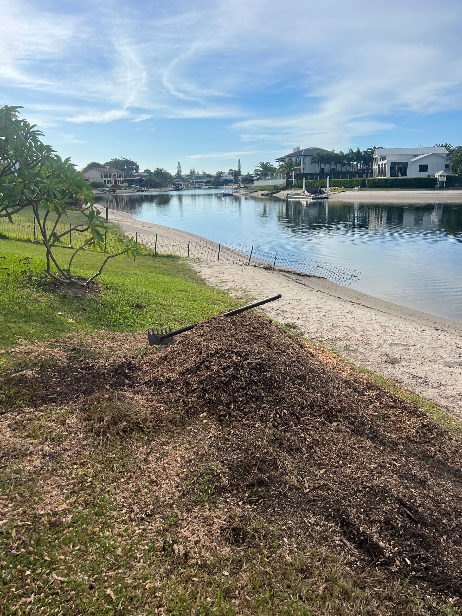 The Norfolk Pine stump has been removed.
