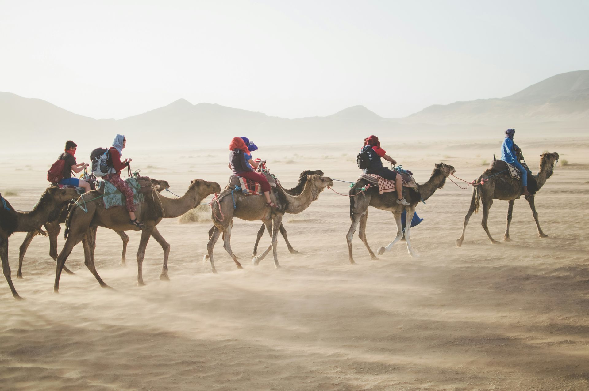 A group of people are riding camels in the desert.