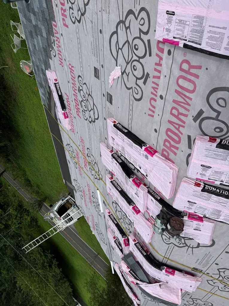 Rooftop covered in graffiti and posters, with a ladder leaning over a green hillside.