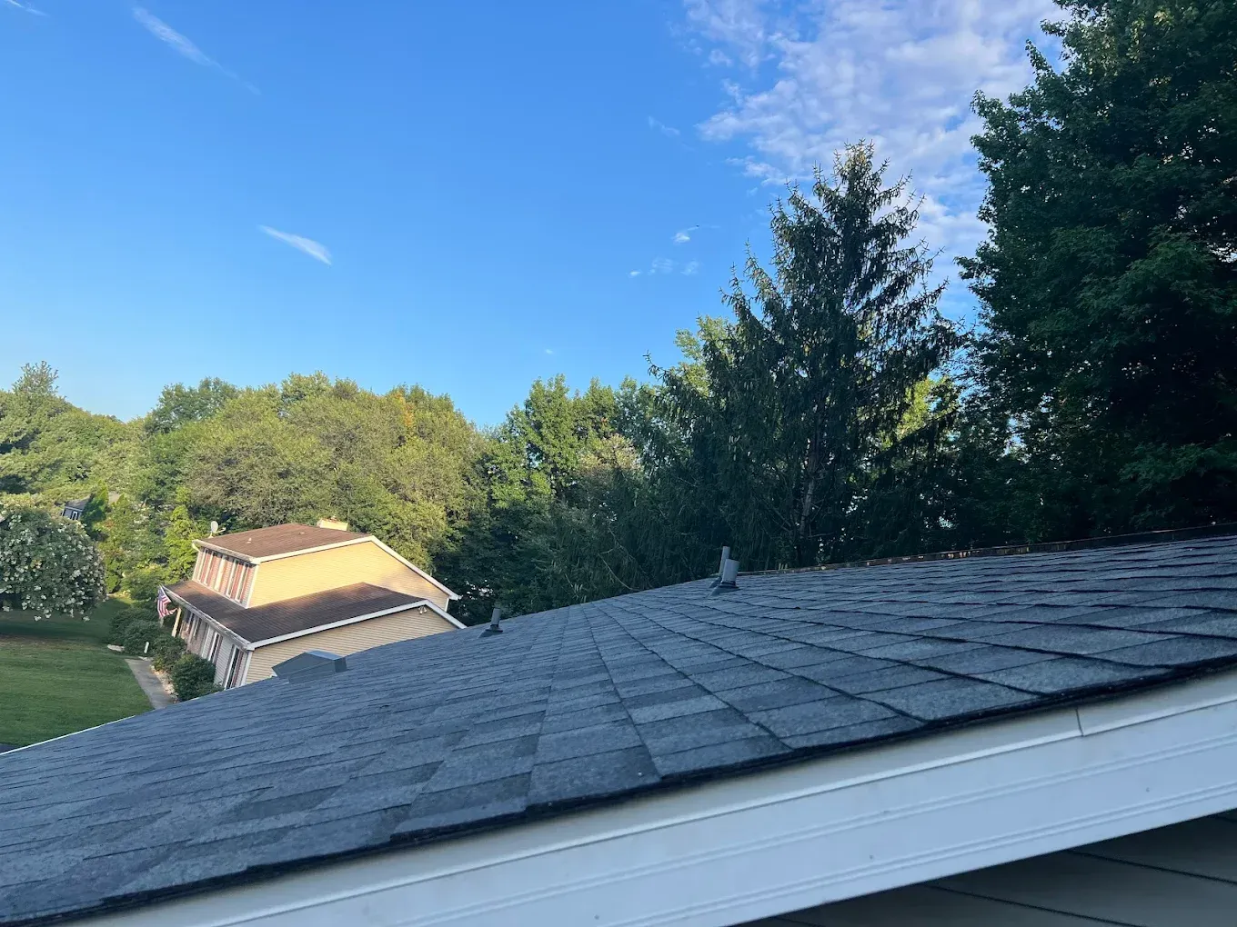 Roof with gray shingles overlooking trees and a blue sky