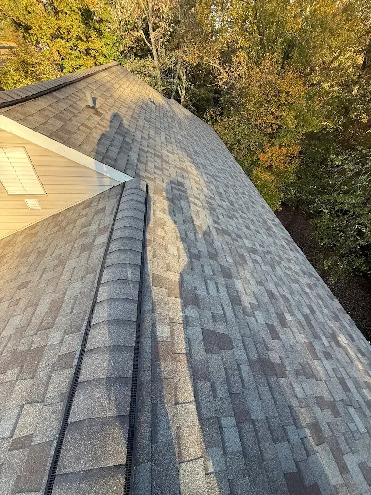 Roof shingles with a long shadow cast across them at sunset, beside autumn trees.