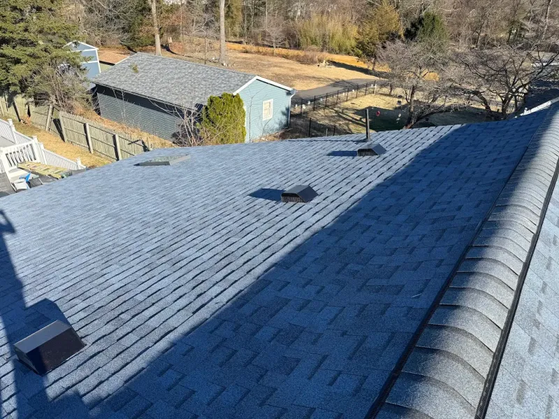Blue shingled roof with skylights overlooking a wooded yard and outbuildings