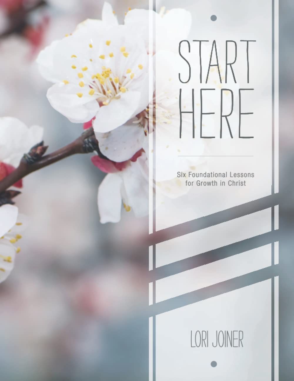 The cover of a book titled start here by lori joiner
