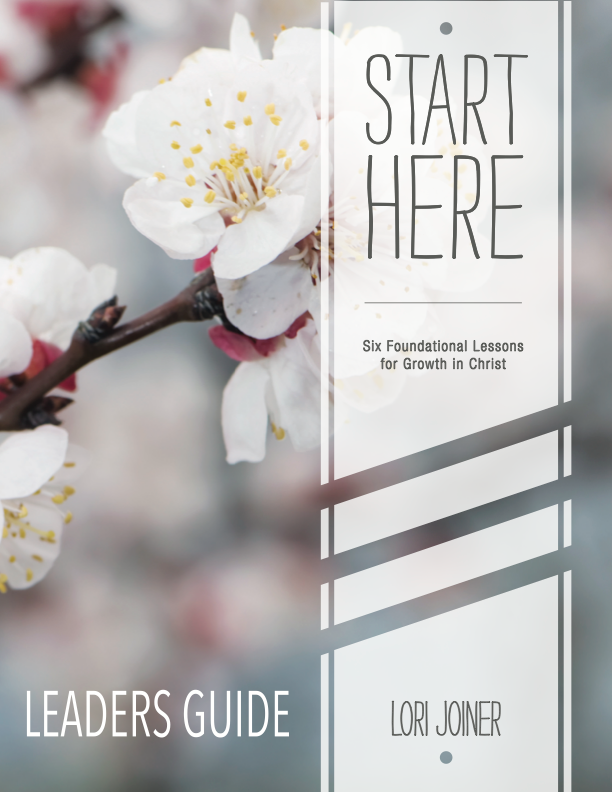 A book called start here leaders guide by lori joiner