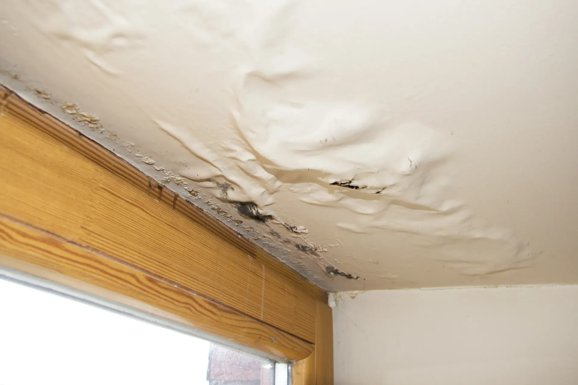 Water-damaged ceiling, with peeling paint and discoloration, near a wooden window frame and white walls. Water-damaged ceiling, with peeling paint and discoloration, near a wooden window frame and white walls.