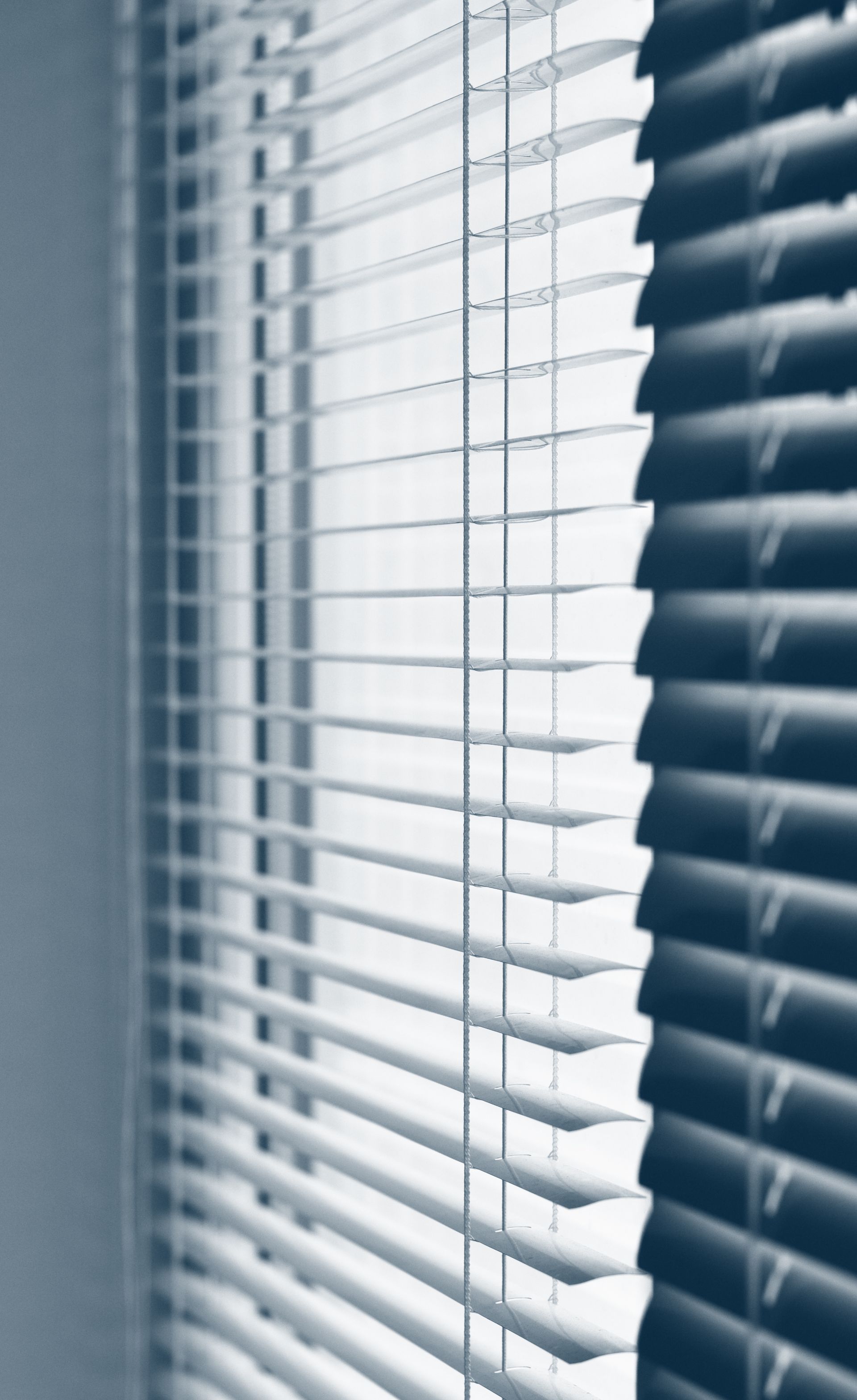 CENTRO DE DECORACION SPAZZIO PAULLETE