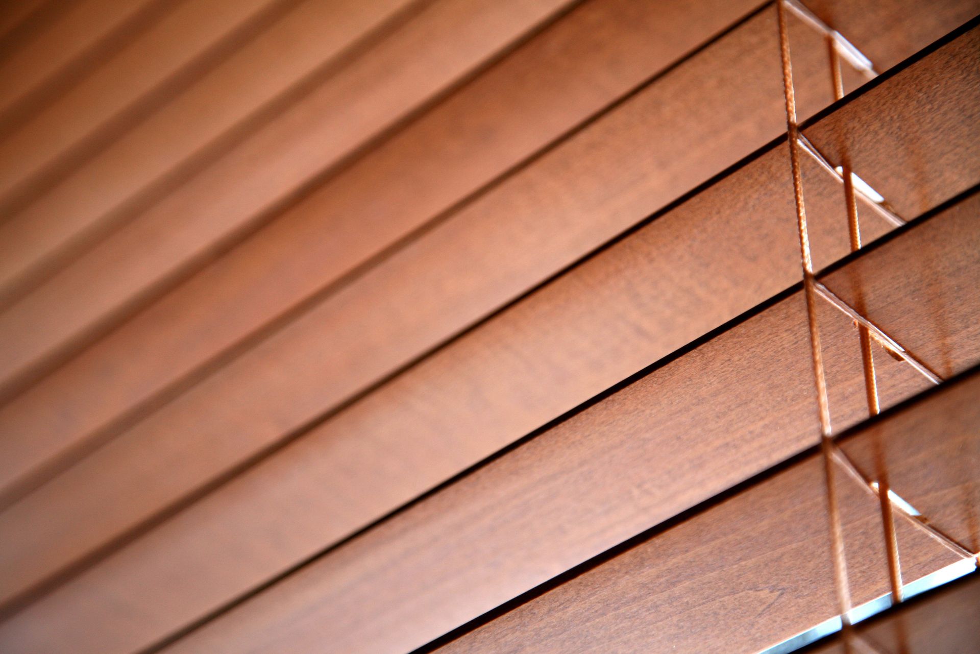 CENTRO DE DECORACION SPAZZIO PAULLETE