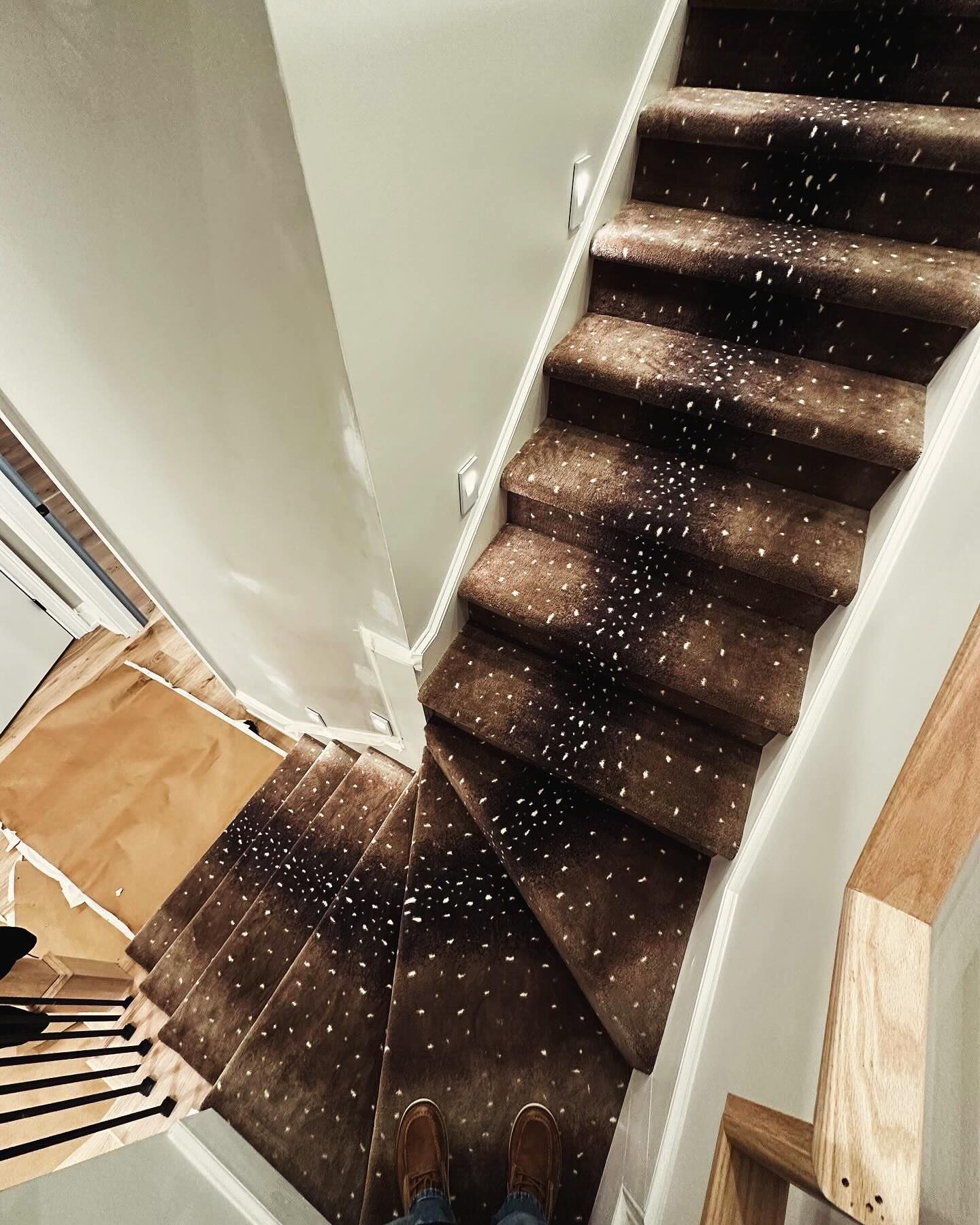A person standing on a set of stairs with a brown carpet