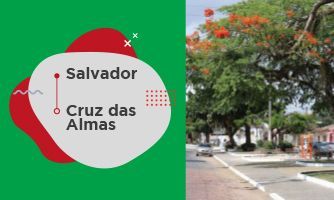 Imagem da cidade de Cruz das Almas na Bahia