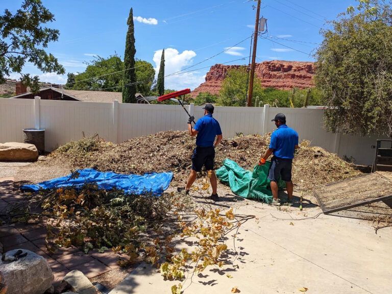 Two workers in blue shirts clear yard debris with rakes and tarps in a sunny backyard with a mountain in the background.