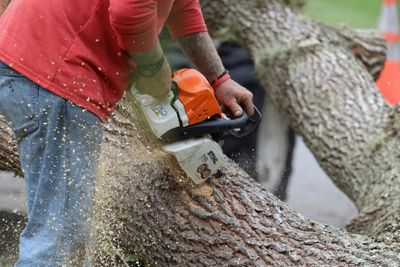 Person operating a chainsaw to cut through log.