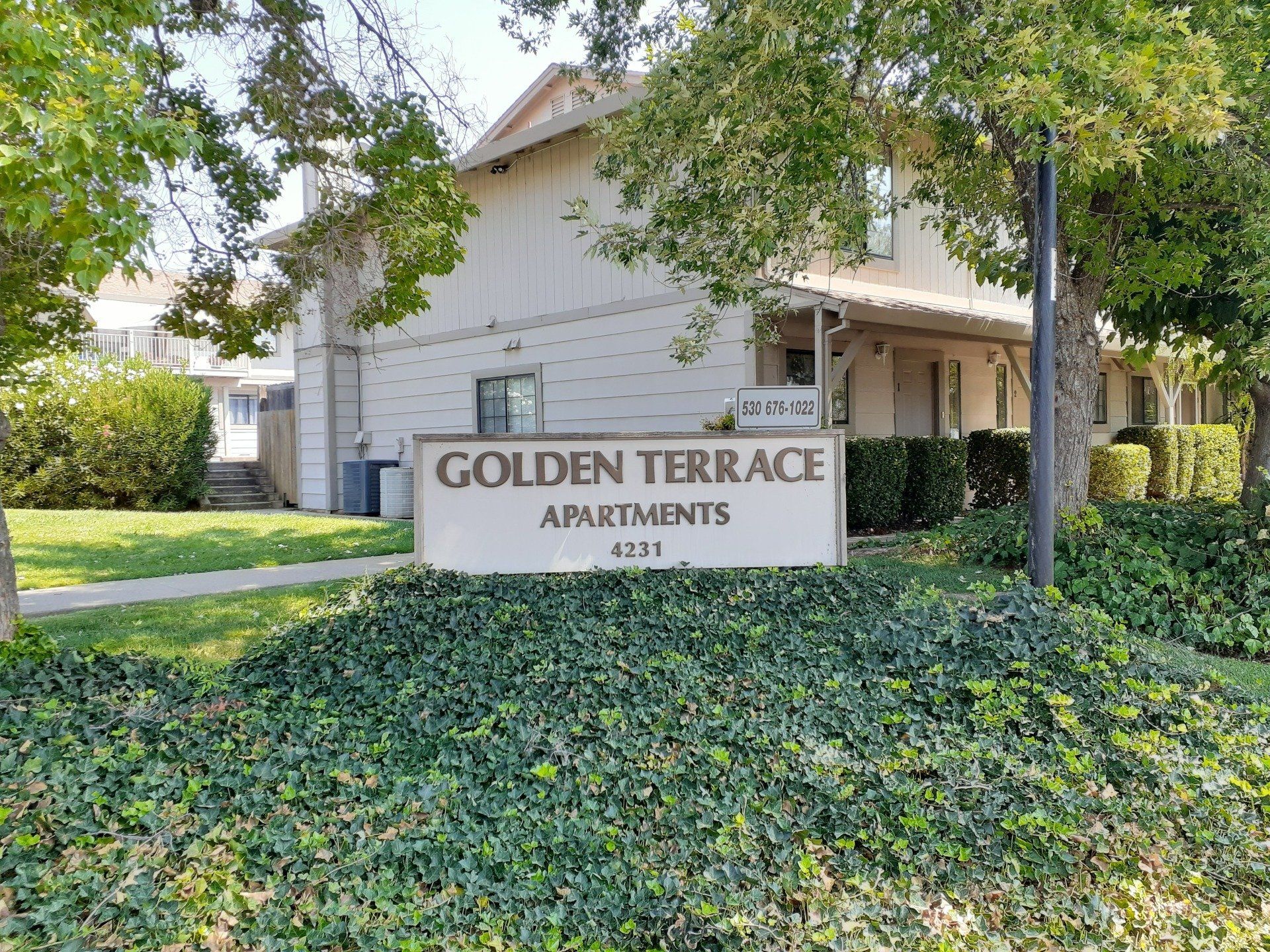 golden terrace apartments