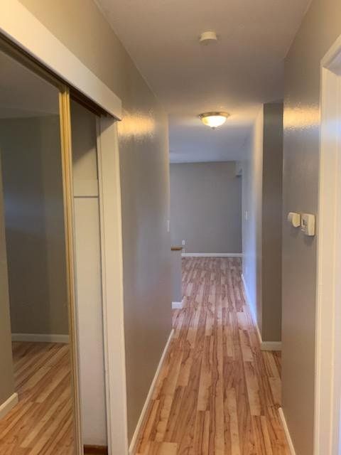 Blinman Way interior