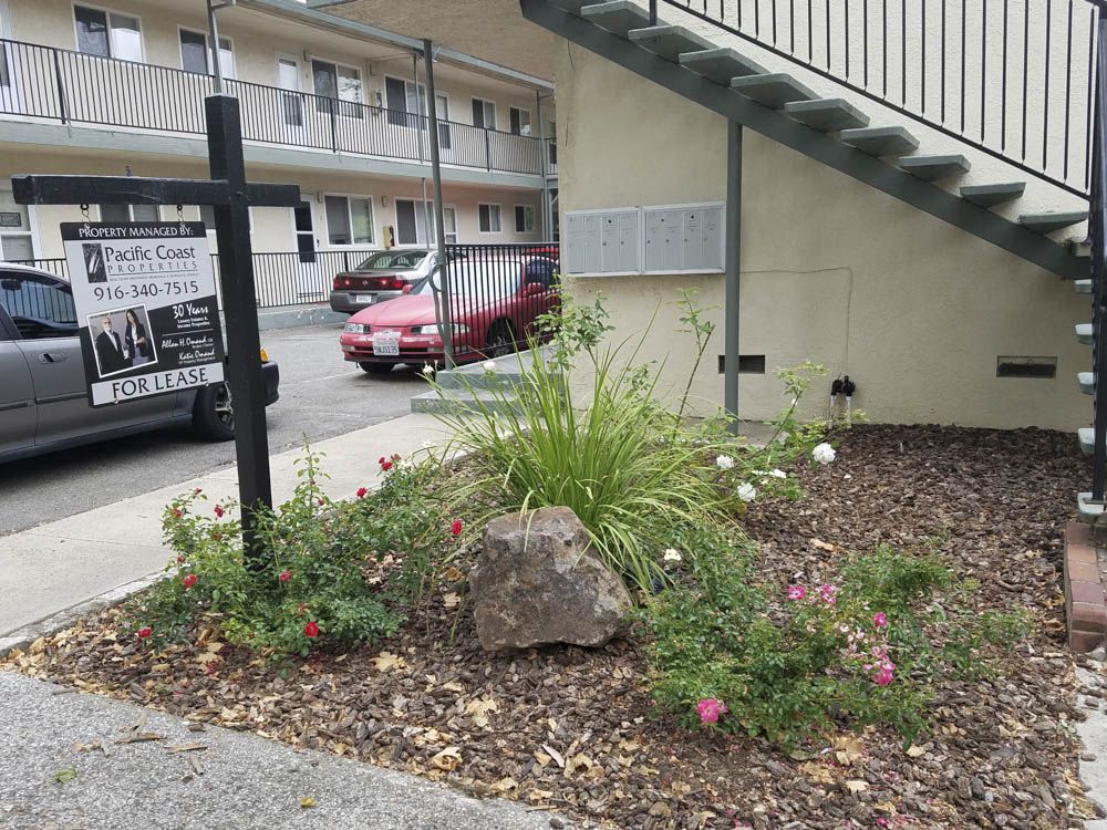 Main Street Apartments